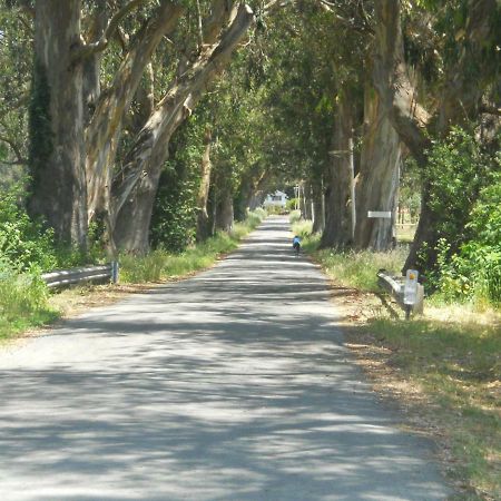 Pescadero Creek Inn エクステリア 写真