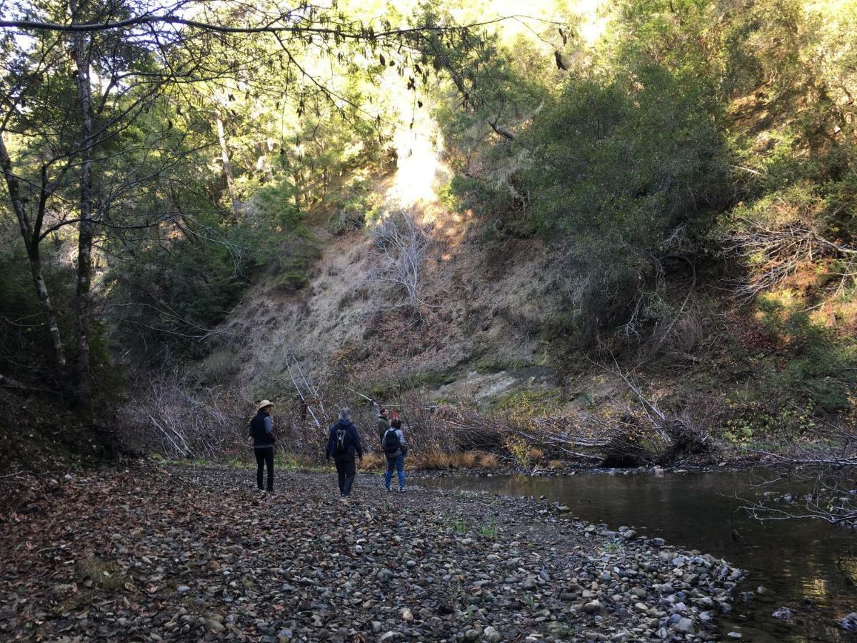 Pescadero Creek Inn エクステリア 写真