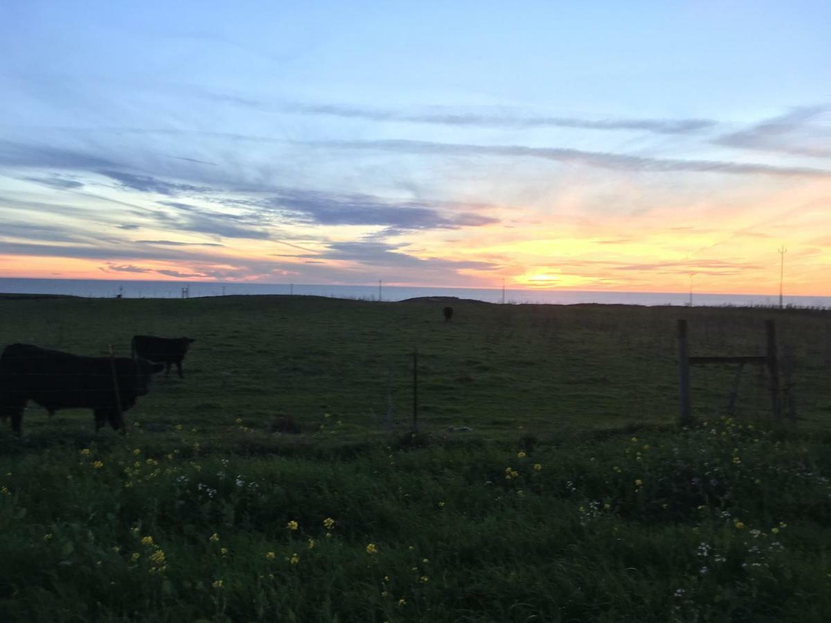 Pescadero Creek Inn エクステリア 写真