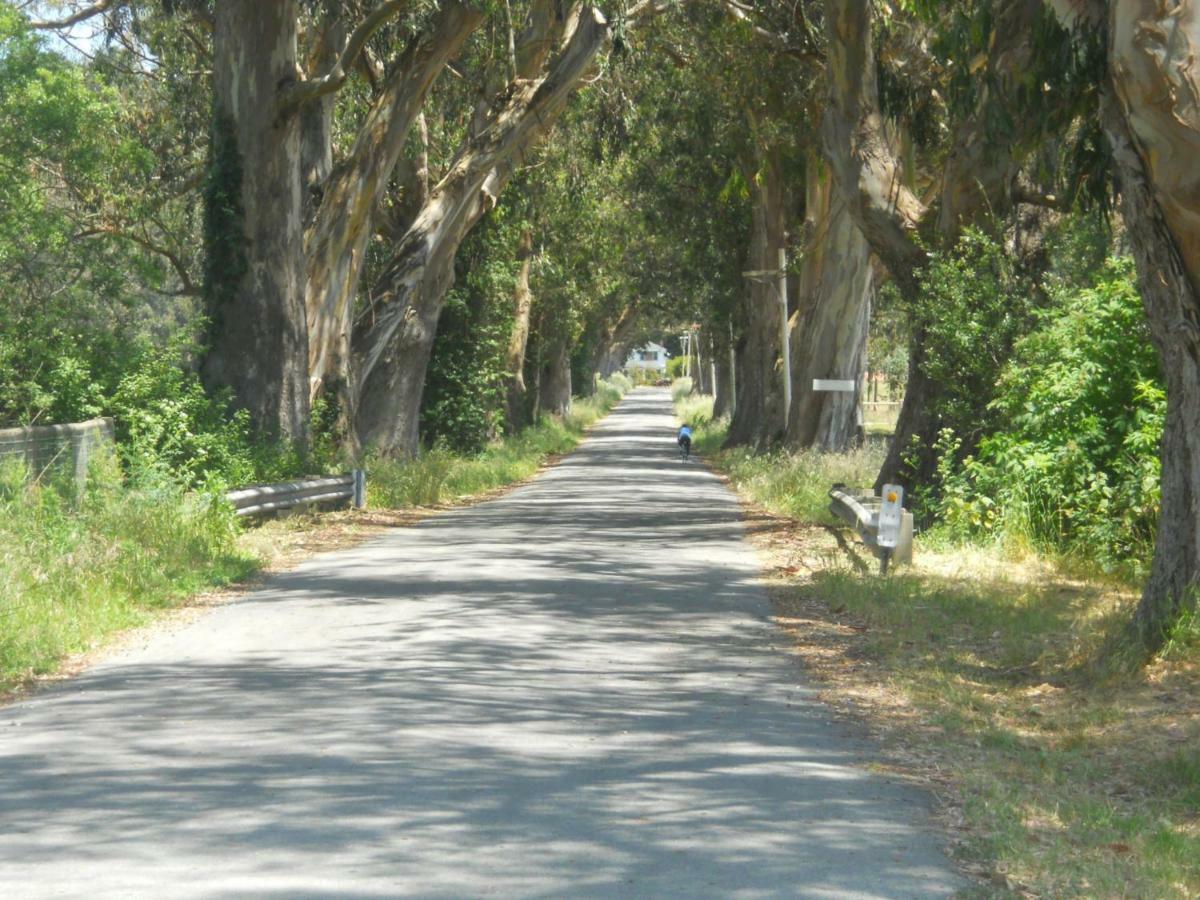 Pescadero Creek Inn エクステリア 写真